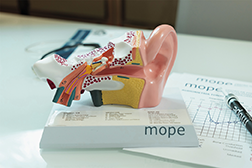 mope_fr